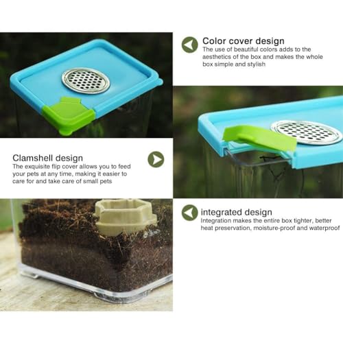 Reptile Growth Tank, Reptile Terrarium Vivarium for Small Incects, Reptile Feeding Box for Jumping Spider, Scorpion, Mantis, Snail, Climbing Pet Container, Reptile Habitat Breeding Box,L - color: L