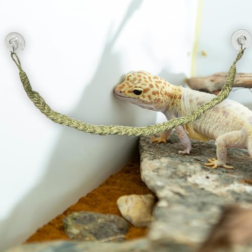 Snake Climbing Rope, Snakes Enrichment Toys, Ball Python Tank Accessories, Snake Enclosure Decor for Ball Python Small Reptile