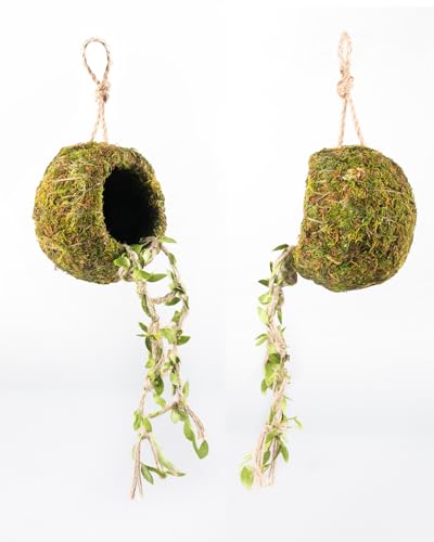 Reptile Hide with Hanging Climbing Ladder – Handmade Crested Gecko Tank Accessories, Hide for Crested Gecko, Hermit Crab, and Small Reptiles