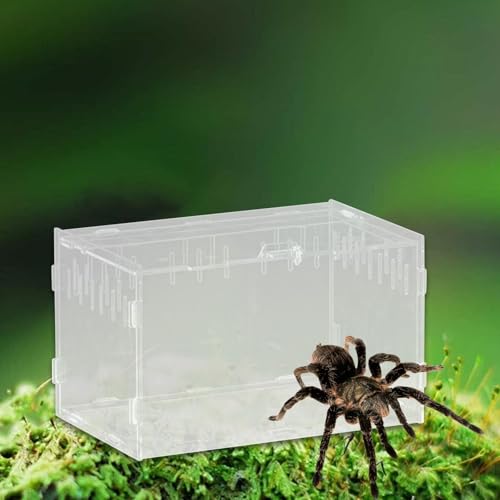 Reptile Breeding Box Terrarium Habitat Tank Transparent Acrylic Enclosure with Ventilation Holes for Snakes Frogs Turtles Geckos Small Animals- 25x15x15cm