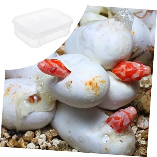 POPETPOP Reptile Hatching Incubation Box Transparent Design for Snakes and Lizards Durable Hatchery Container for Reptile Eggs for Scientific Research and Curiosity