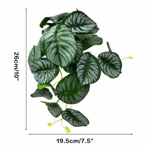 Reptile Plants for Terrarium, Artificial Hanging Plastic Plants with Suction Cups,Amphibian Tank Habitat Decor fit for Bearded Dragons Chameleon Lizards Snake 2Pack (F) - color: F