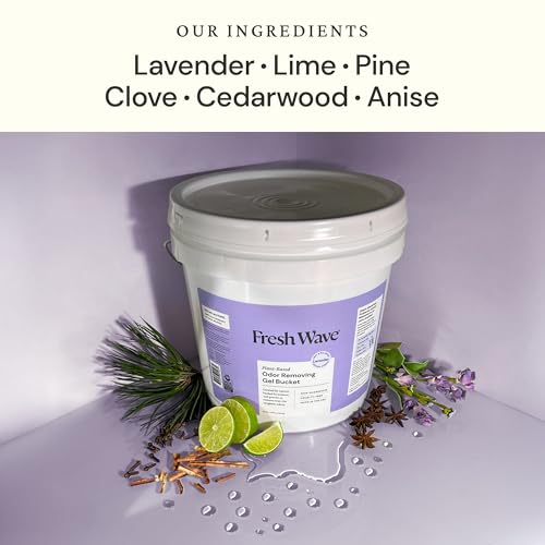 Fresh Wave Odor Eliminator Gel Bucket, 248 oz. Lavender Refill | EPA Safer Choice rated, No parabens or harsh chemicals, Refills up to 16 large gel jars, Pet-safe room deodorizer - size: 248 Fl Oz (Pack of 1)