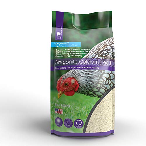 Aragonite Chicken Calcium Feed, FINE | Strong Eggshells, Gizzard Health