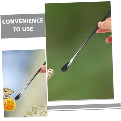Toddmomy 3pcs Reptile Food Spoon Lizard Feeding Spoon for Wet Food Reptile Dish Tool Pet Supply