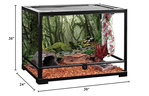 36x24 in Terrarium Backdrop Foggy Forest Stream Reptile Habitat Background | AWERT Tropical Rainforest Green Mossy Huge Tree Aquarium Terrarium Background - size: 36x24in/90x60cm