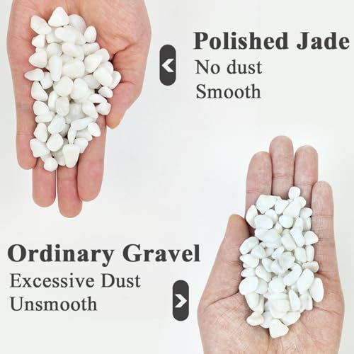 10LB Succulent and Cactus Gravel Pebbles, 3/8 Inch White Stones | Natural Decorative Polished Stones, River Rocks for Plants, Vases, Aquariums, Terrarium and Outdoor Gardening - color: White, size: 10 Pounds