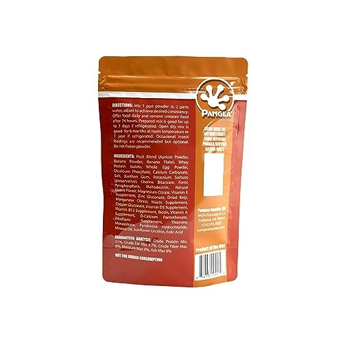 Pangea Gecko Diet with Apricot, 16 oz