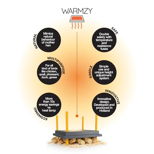 Hatching Time Warmzy 10"x10" Chick Heating Plate – Safe 15W Chicken Coop Heater for 15–20 Chicks with Adjustable Legs | Gentle Low-Heat Brooder Plate for Chicks, Durable Fire-Resistant Chicken Heater - size: 10" x 10" for 15–20 Chicks