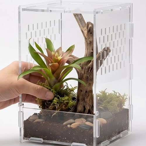 Transparency Reptiles Container Box Terrarium with Front Opening Door Breeding Box for Home Travel Amphibian Display Small Pet Habitat Cage
