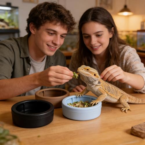 Reptile Water Bowl | 3-Piece Mealworm Feeder Cups | Reptile Food Dish Bowl - for Gecko Bearded Dragon Lizards Hermit Crab Snail Pet Store Terrarium Tank