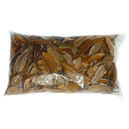 XYZReptiles Premium Live Oak Leaf Litter Isopod Substrate Terrarium Bedding (1/2 Gallon) - size: 1/2 Gallon