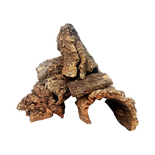 Cork Bark - 1lb (Assorted) - for Orchids, Airplants, Reptiles, and Terrariums