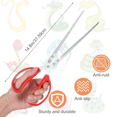 Snake Feeding Tongs 14,57 Inch Long Tool to Feed A Reptile Lizard Extra Stainless Steel Large Tweezers Heavy Duty Straight Mouth for Ball Python Fish Aquariums Reptiles