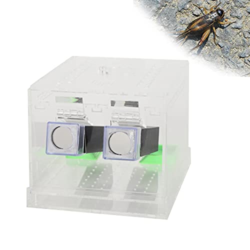 GLOGLOW Acrylic Feeding Cricket Keeper, Small Tree Dwelling Reptiles Amphibians Spiders Other Invertebrates Portable Clear and Transparent Plastic, Micro Terrarium Enclosure for Pen with - size: Large