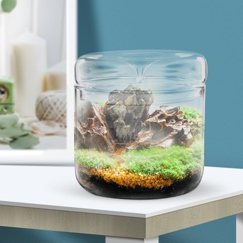 Alasum Micro Landscape Moss Terrarium Glass Container for Office Desktop, 12X12Cm Eco Bottle Planter with Ecosystem for Creative Indoor Plant Decoration
