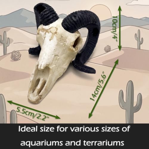 Fish Aquarium Tank Hideout Décor Decorations Dinosaur Skull Fish Tank Decor Cave Skull Betta Animal Halloween Large Reptile Bones Snake for Terrarium Ornament - color: Horned Sheep