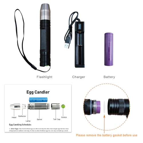 Powerful Professional LED Light Egg Candler Incubator Stainless Steel Tester for All Egg Type, Ultra Bright, Powered Portable, with Full Illustrated Egg Candling Guide (B- Include Batteries)