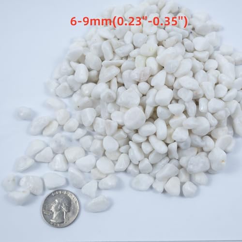 Colored Aquarium Gravel,Colorful Pea Gravel,Garden Rocks,Decorative Stones Rocks for Fish Tank,Aquarium,Fairy Garden Decor,Planters,Vase Fillers,Landscaping,1 Pound (White, 6-9mm) - color: White, size: 6-9mm