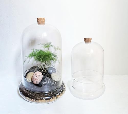 Handblown 10" Glass Terrarium with Opening for Air Flow & Cork Stopper Cloche Style Glass Dome Vivarium Display Case (Large) - size: Large