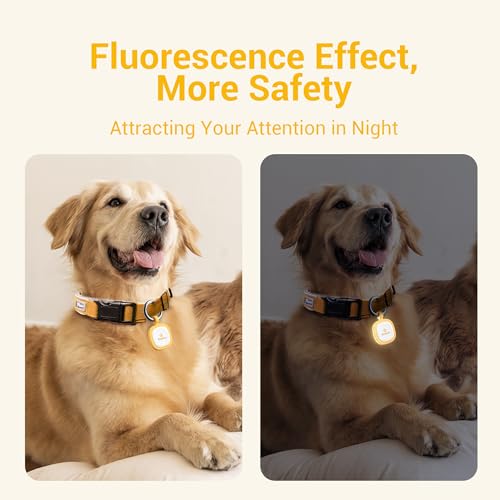 Pawaii Glow in The Dark Dog ID Tag, Silent Silicone, QR Scan Alerts, 1 Pack | Updatable online profile, emergency contacts, no app, no subscription, lost pet recovery, night walks, collar friendly - color: Light Orange