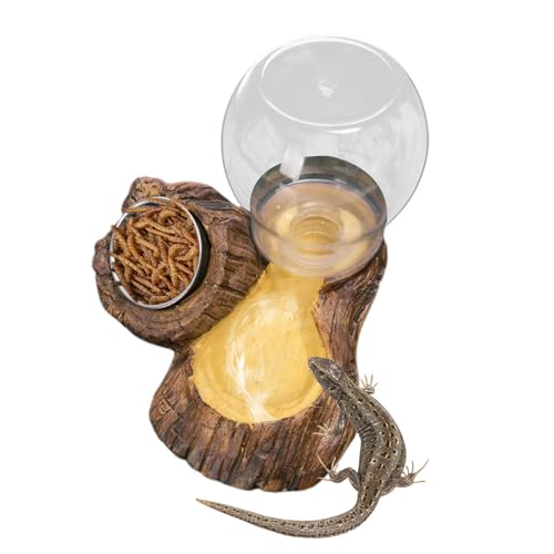 Reptile Water Dish Reptile Drinking Feeding Dish | Snake Food and Water Bowl for Turtle Tortoise Bearded Dragon Snake Lizard Chameleon Leopard Gecko Terrarium Enclosure