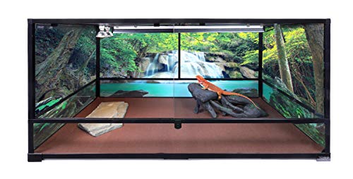 Carolina Custom Cages, 48Lx24Wx24H Tall Extra-Long Deep Terrarium; Easy Assembly - size: 48Lx24Wx24H