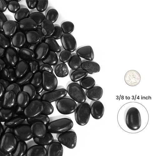 2 LBS River Rocks, StoneCreek, Decorative Garden Stones for Plant Landscaping, Polished Gravel Filler Pebbles for Home Decoration, Vases, Succulents, Flower Beds and Fish Tanks (Black, Medium) - color: Black, size: 2 LBS