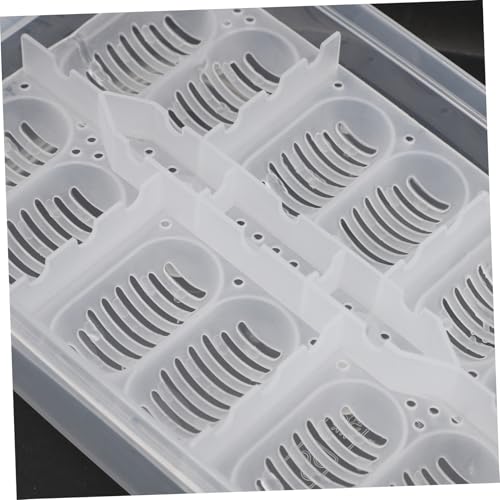 POPETPOP Box Compartments for Efficient Hatching Plastic Incubation Container for Lizards Geckos Snakes and Other Reptiles