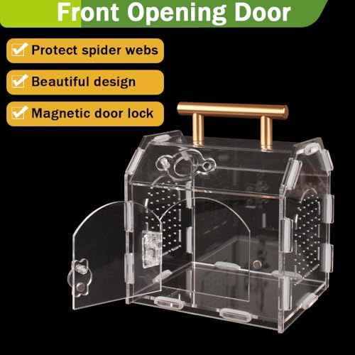Acrylic Jumping Spider Enclosure with Magnetic Lock | 3mm clear acrylic magnetic front door & feeding port for escape-proof care