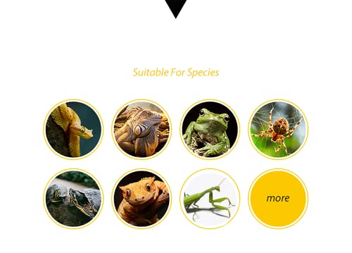 Moss Reptile Carpet, Raise Box Humidity, Fibre Mat for Pet Box Lining, Rainforest Reptile Supplies for Turtles, Lizards, Chameleons, Snakes, Horned Frogs, Bearded Dragons (17" x 24" x 1 Pack)