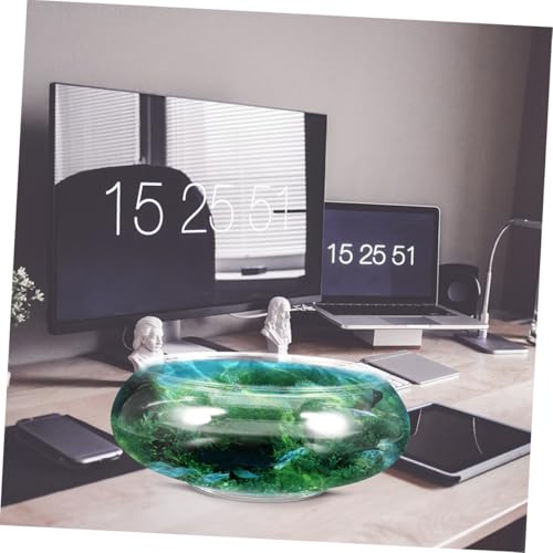 ibasenice 2Pcs Transparent Small Fish Tank Durable Aquarium for Goldfish Turtle and Small Reptiles Home Decor and Fish Breeding Box Capacity