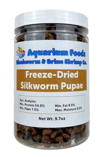 Silkworm Pupae - Freeze-Dried Silkworm for Color Glossing in Koi, Pond Fish, Monster Fish, Land & Aquatic Turtles, Reptiles, Rodents, Birds…9.7oz Lg Round Jar - size: 9.7 Ounce (Pack of 1)