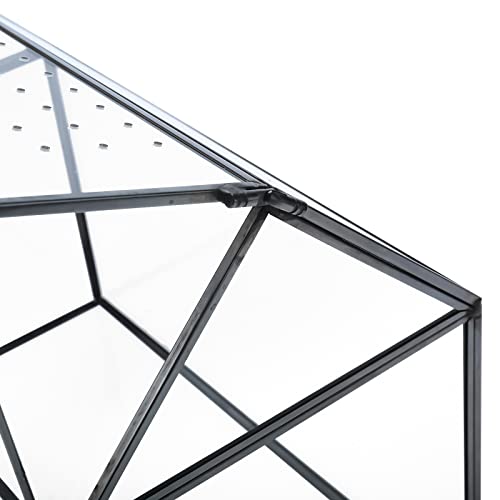 Geometric Glass Terrarium with Acrylic Lid, House Shape Black Terrarium with Breathing Holes for Snails, Succulent, Cacti, Air Plants, 10.3x8.3x5.9 inch (Terrarium Only)