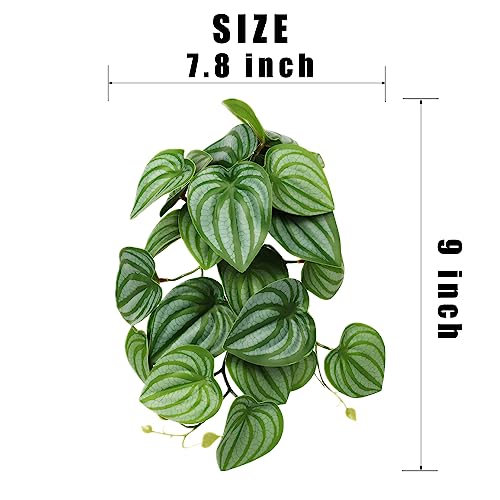 2Pack Fake Calathea Orbifolia, Reptile Habitat Plants with Suction | For Reptile Amphibian Snake Gecko Tortoise Habitat Enclosure - color: I-fake Calathea Orbifolia