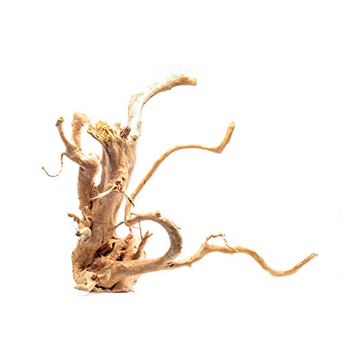 Nano Driftwood for Aquariums and Terrariums (Single)