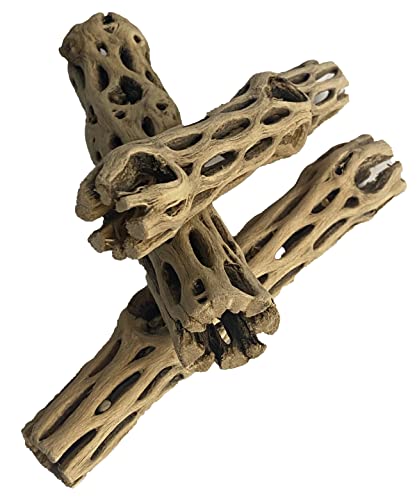 Awesome Aquatic Natural Staghorn Cholla Wood Tube, 3 Pack, 6 Inch | Biofilm surface Secure hiding places Shrimp habitat Pleco shelter Hermit crab climbing Aquarium décor Terrarium décor - size: 3 pc 6 inch