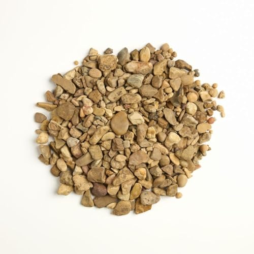 32 oz Jug of Multicolor Tan Pea Gravel, ⅛ - ½ inch Size, for Indoor Outdoor Decor, vase Filler, Candles, Art, Crafts, Aquariums, Fairy Gardens, planters, tablescapes, terrariums - color: Tan Pea Gravel, size: Small