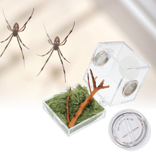 ibasenice Jumping Spider Cage 1.5In Clear Acrylic Escape-Proof Feeding Box with Built-in Lamp for Night Viewing – Mini Terrarium for Jumping Spiders & Small Arachnids - color: Multi