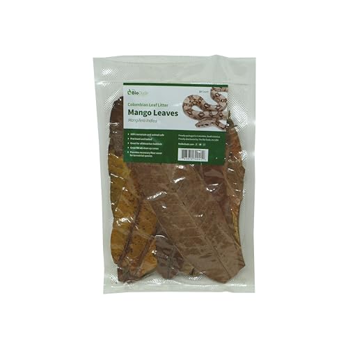 The Bio Dude Colombian Mango Leaf Litter - 100% Safe - Boiled and Baked. 20 Count. Great for Terrariums, bioactive vivariums, Frogs and More