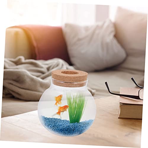 Abaodam Glass Terrarium for Plants Home Decoration Bottle Lid for Landscape Office Decor and Fish Keeping Container - size: 12X10X10CM