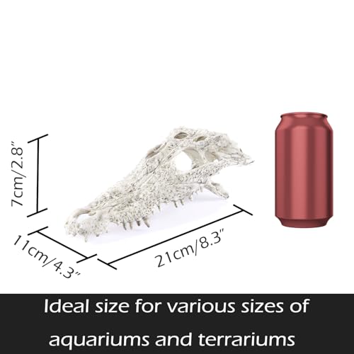 Animal Skull Fish Aquarium Hideout Decorations Cave Dinosaur Reptile Ornament Halloween Décor for Terrarium Large Betta Decor Bones - color: Crocodiles