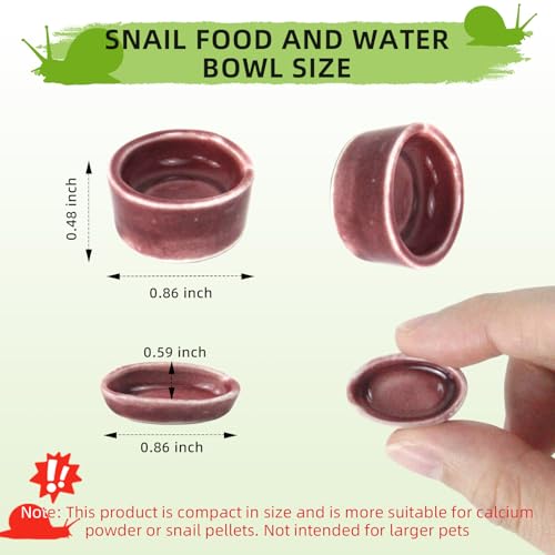 4 Pack Snails Feeding Dish Set for Land Snails, Snail Food and Water Bowl - Calcium Food Bowl & Water Tray, Mini Pet Supplies, Durable Snail Tiny Pet Dishes