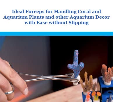 A2Z-Aquascaping Maintenance Tools Accessories,Anti-Rust Stainless Steel Tweezers Scissors Spatula for Aquarium Tank Clean, Fish Tank, Bonsai, Algae Scrapers (7" Coral Hemostat Forceps - Straight) - size: 7" Coral Hemostat Forceps - Straight