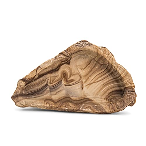 Fluker's Repta Bowl, Food and Water Bowl for Reptiles and Small Animals, Large 9" - size: Large