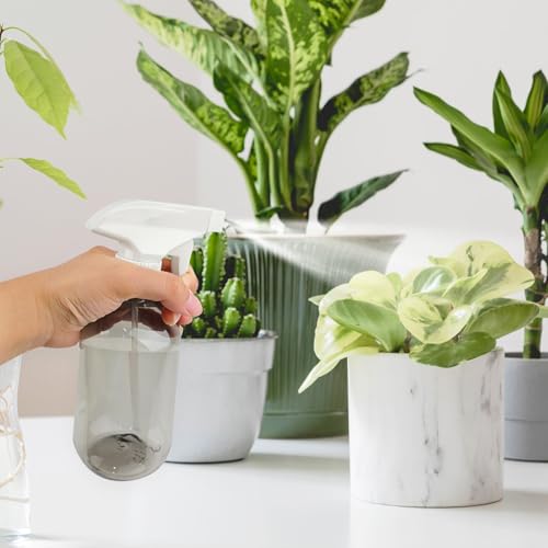 2 Pack 10oz/300ml Spraying Bottles, Adjustable Spray Bottles with Mist and Stream Modes for Hair, Gardening and Cleaning