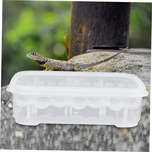 Professional Compartment Egg Incubator for Reptiles Lightweight Hatching Box for Lizard and Durable Breeder Case for Easy and Fun Hatching Experience - color: White