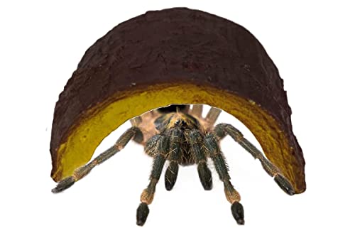 Josh's Frogs Half-Log Herp Hide (Small) - size: Small