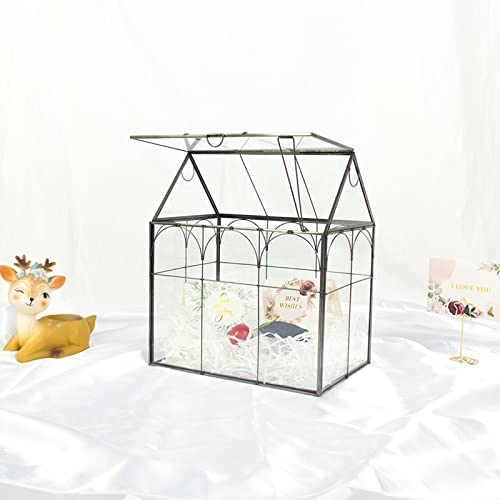 Large Tall Plant Greenhouse Terrarium Glass with Lid, 8.7"X5.9"X10.6" Inches Indoor Tabletop Orchid Succulent Cacti Terrarium Kit NA (House Black A)