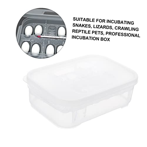 BESPORTBLE Egg Incubation Box for Reptiles Snake Gecko Incubator Trays 12 Egg Slots View Lightweight Safe for Boys and Girls